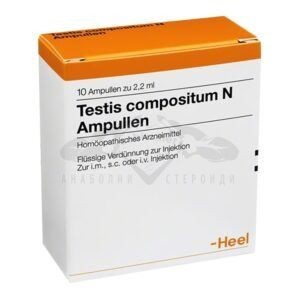 testis_composite
