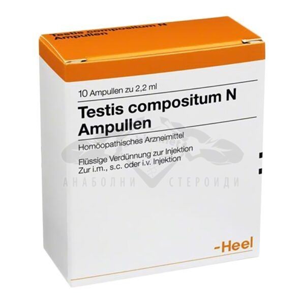 testis_composite